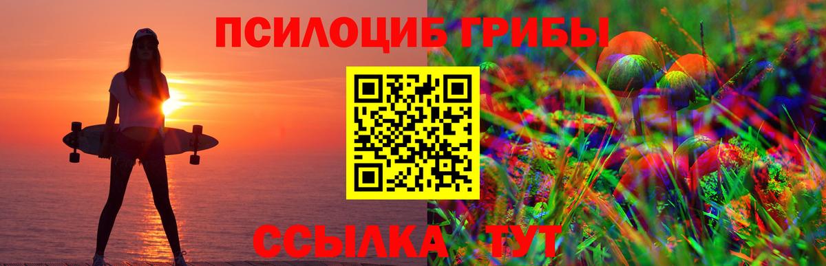 Псилоцибиновые грибы Psilocybe  Вход с VPN  Видное 